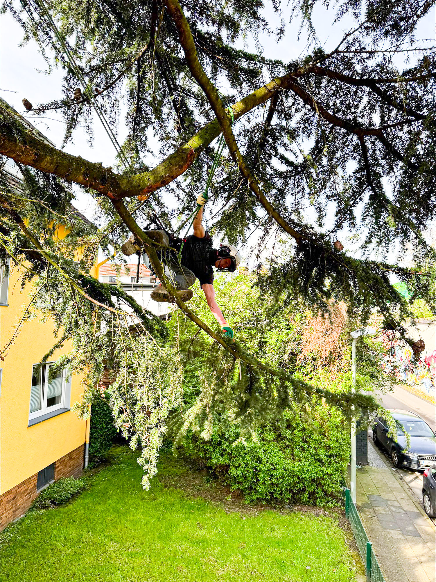 Ratinger Grünwerk – Baumschule, Baumpflege und Landschaftspflege für Privatkunden und Unternehmen in Ratingen und Umgebung. Ratinger Grünwerk – Baumschule, Baumpflege und Landschaftspflege für Privatkunden und Unternehmen in Ratingen und Umgebung.