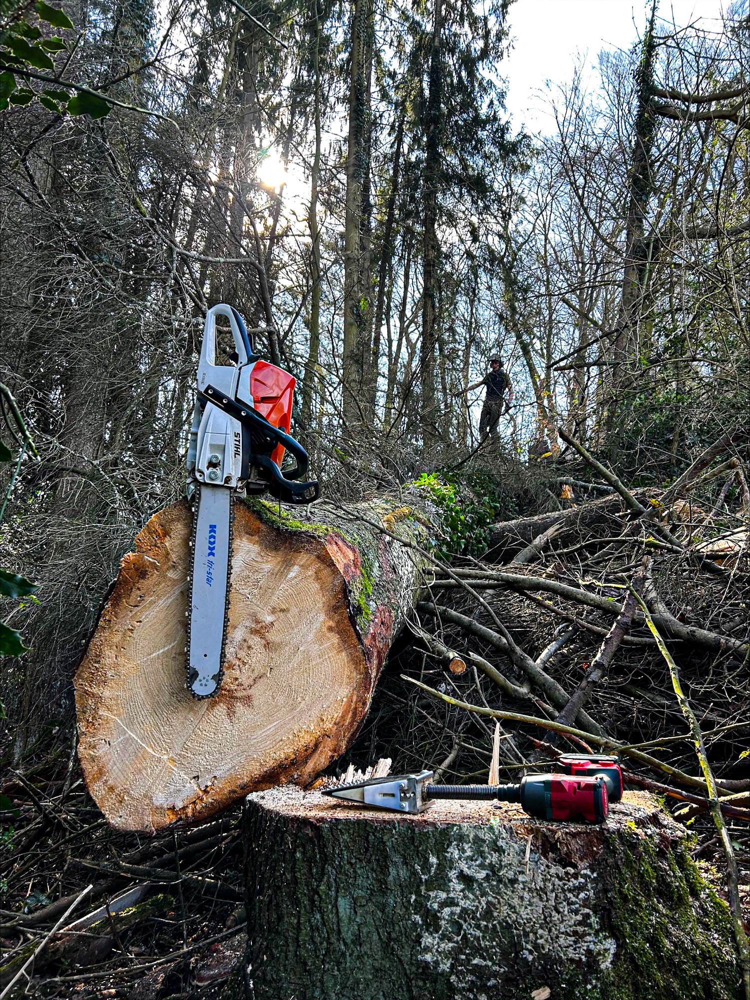 Ratinger Grünwerk – Baumschule, Baumpflege und Landschaftspflege für Privatkunden und Unternehmen in Ratingen und Umgebung. Ratinger Grünwerk – Baumschule, Baumpflege und Landschaftspflege für Privatkunden und Unternehmen in Ratingen und Umgebung.