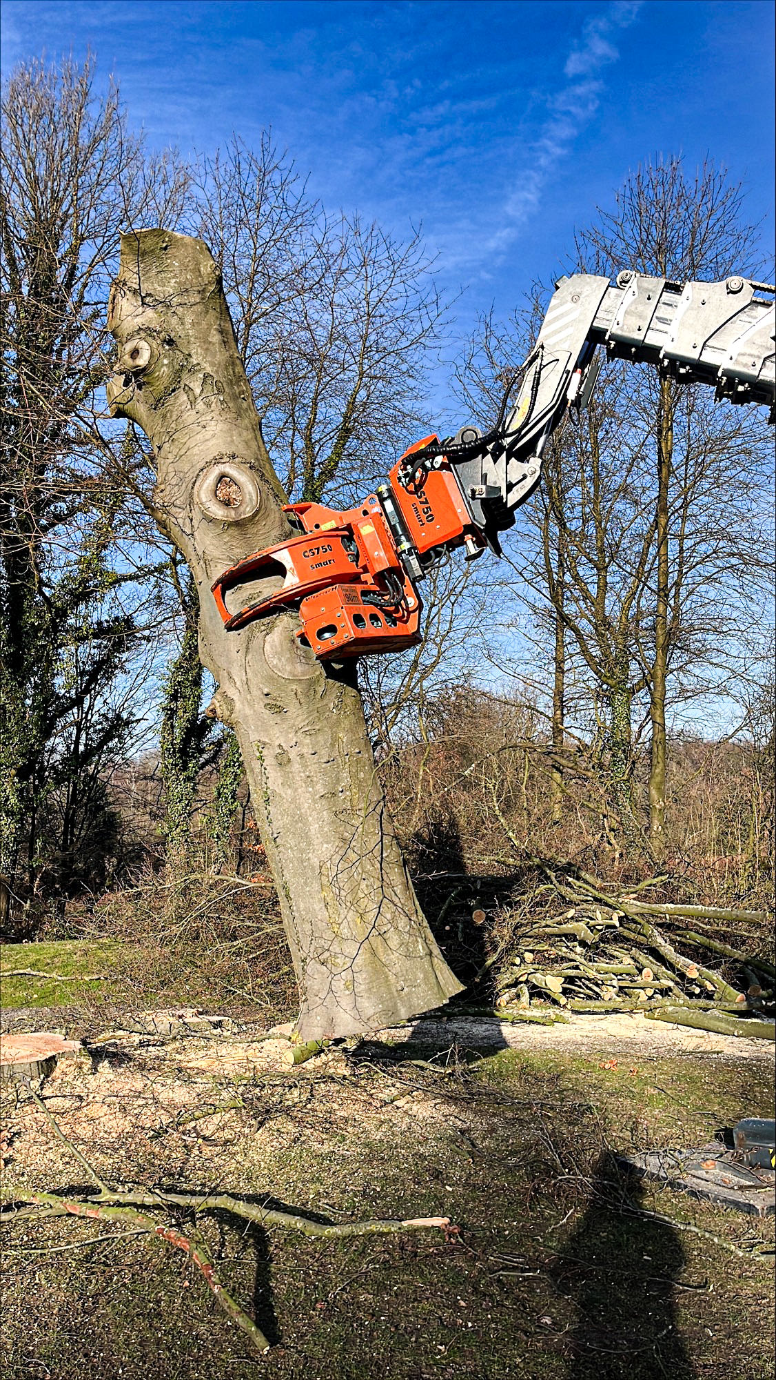 Ratinger-Gruenwerk-Planen-Sie-ein-Projekt Ratinger Grünwerk – Baumschule, Baumpflege und Landschaftspflege für Privatkunden und Unternehmen in Ratingen und Umgebung.
