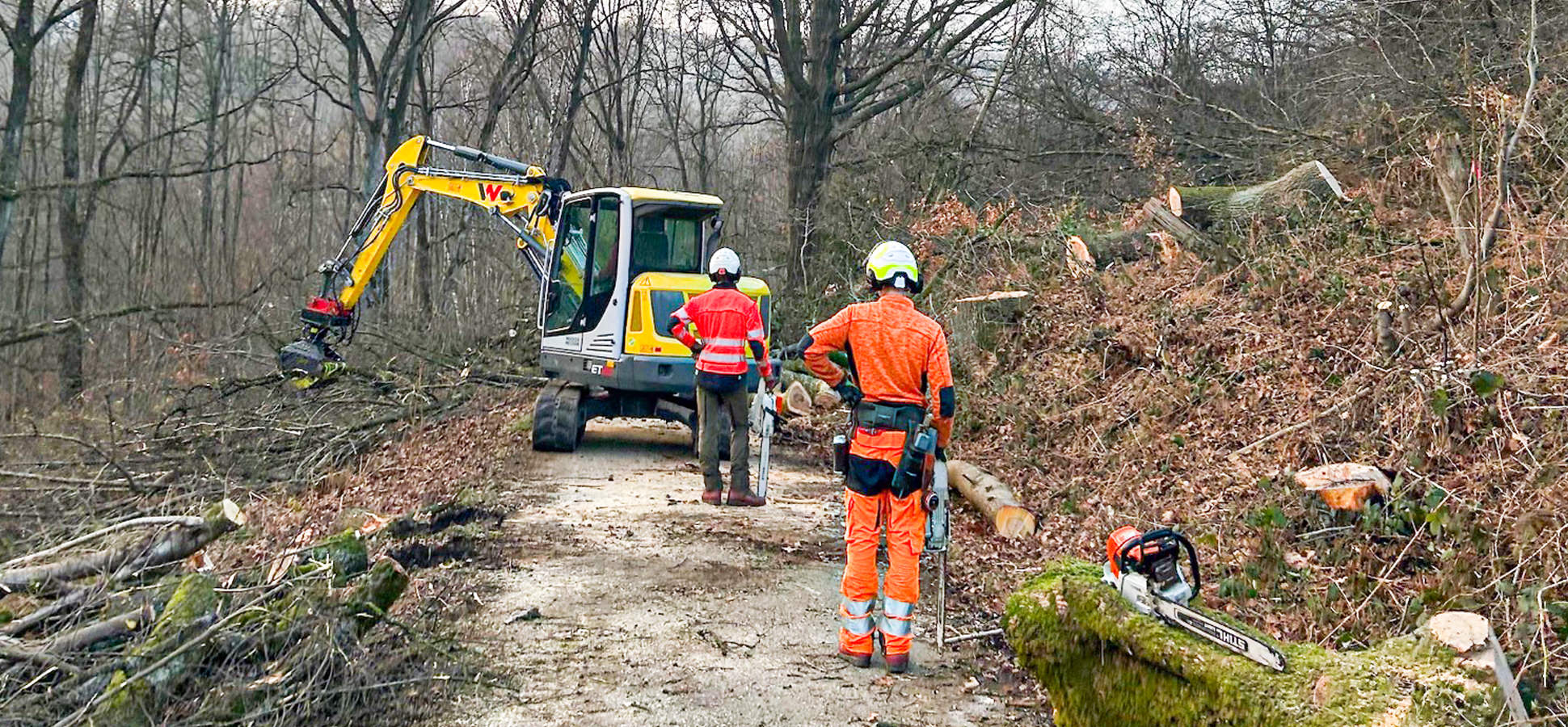 Ratinger Grünwerk – Baumschule, Baumpflege und Landschaftspflege für Privatkunden und Unternehmen in Ratingen und Umgebung. Ratinger Grünwerk – Baumschule, Baumpflege und Landschaftspflege für Privatkunden und Unternehmen in Ratingen und Umgebung.